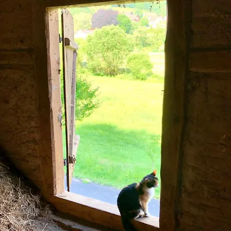 Unterm Stein - Schneewittchen - 2 Schlafzimmer 公寓 *