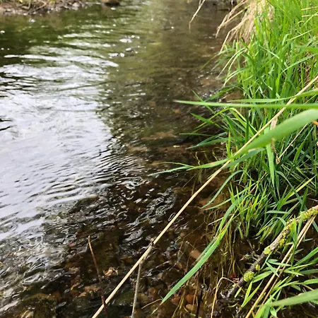 Unterm Stein - Schneewittchen - 2 Schlafzimmer 公寓 Alheim