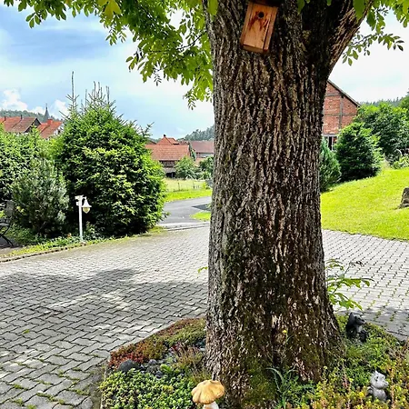 公寓 Unterm Stein - Schneewittchen - 2 Schlafzimmer *